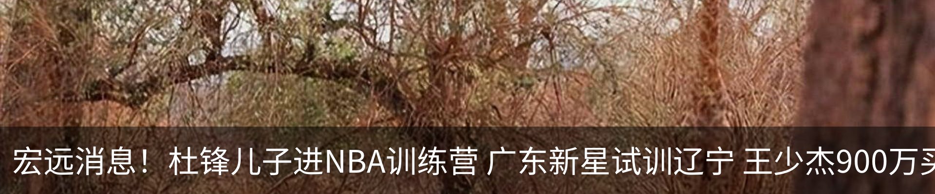 资讯动态