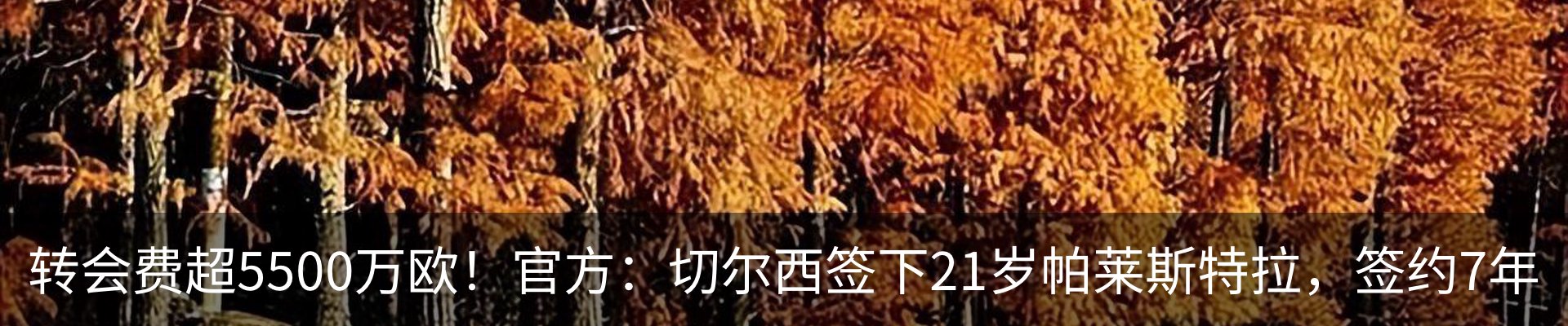 资讯动态